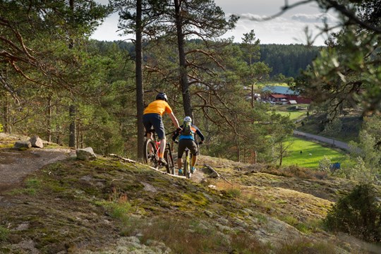 Två personer som cyklar mountainbike nedför bergskullar