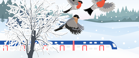Illustration av ett Mälartåg i vinterlandskap med 3 fåglar som flyger i förgrunden