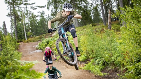 Tre pojkar som åker mountainbike i nedförsbacke